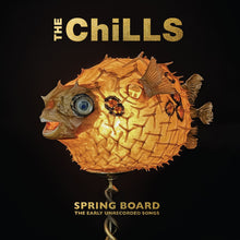 Load image into Gallery viewer, The Chills - Spring Board: The Early Unrecorded Songs
