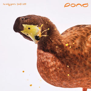 POND - The Early Years: 2008 – 2010