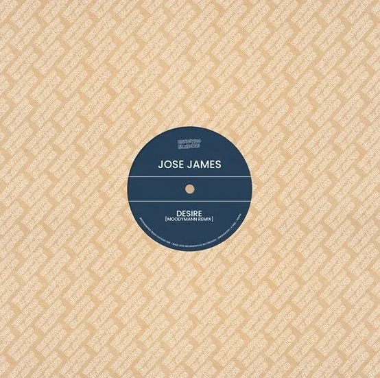 Jose James / Ben Westbeech - Brownswood Recordings Remix Edition 005