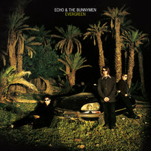 Load image into Gallery viewer, Echo And The Bunnymen - Evergreen (CD)
